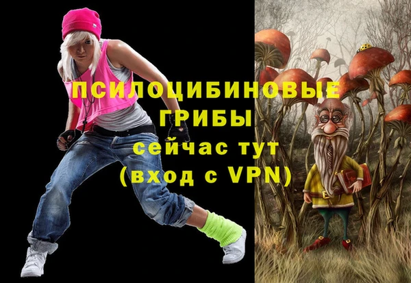 винт Алексин
