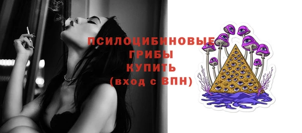 стаф Алексеевка