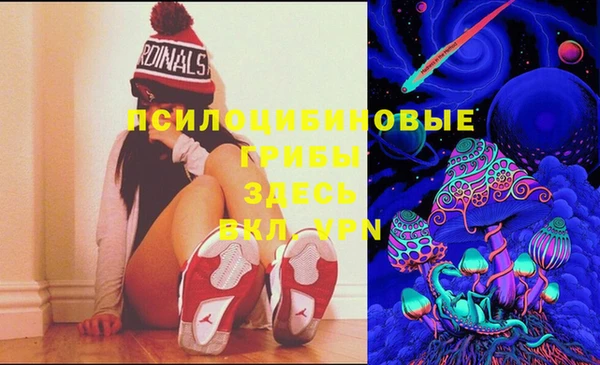стаф Алексеевка