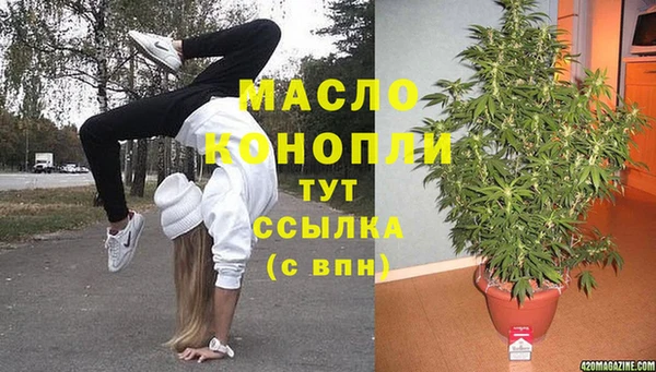прущие грибы Алзамай