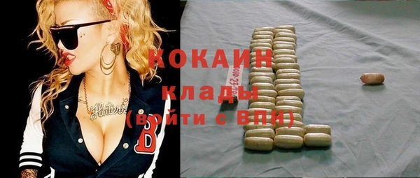 прущие грибы Алзамай